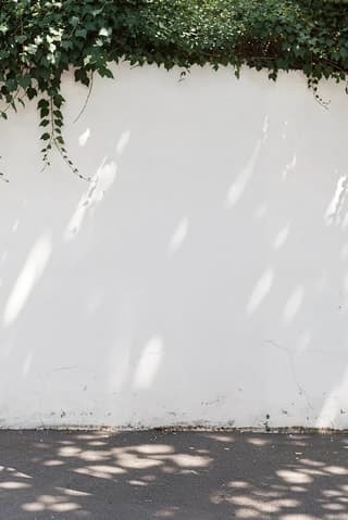 In the daylight